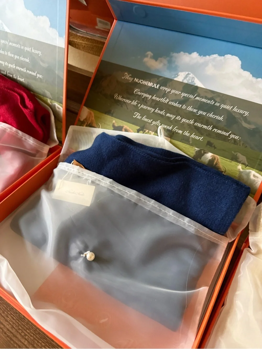 N/A cashmere scarves